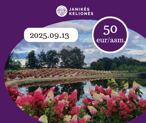 Jūsų paragrafo tekstas (6)